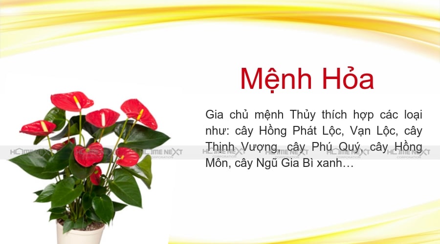 Ứng dụng ngũ hành tương sinh trong phong thủy nhà ở như thế nào