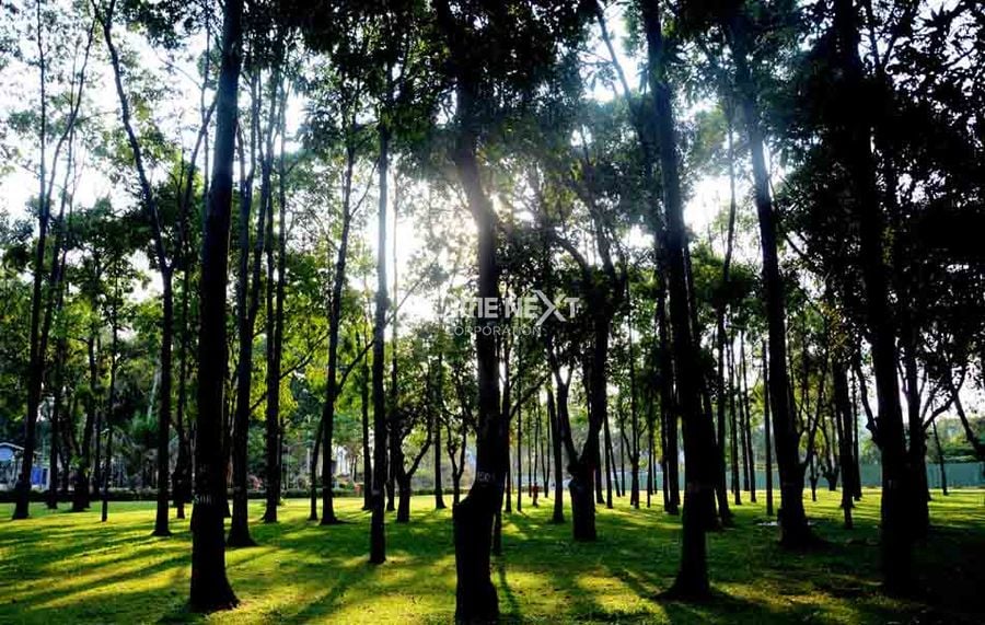 Công viên Gia Định tại Q. Phú Nhuận, TP HCM