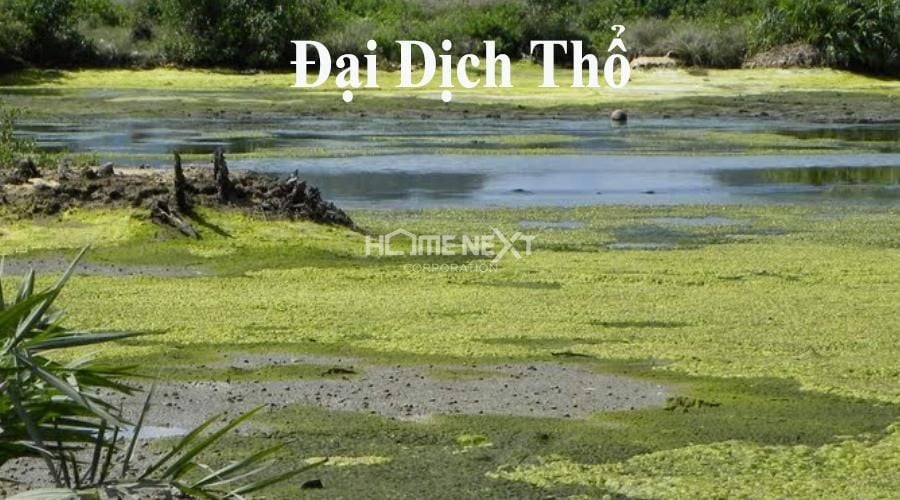 Đại Dịch Thổ còn gọi là đất vùng đầm lầy Đại Dịch Thổ còn gọi là đất vùng đầm lầy