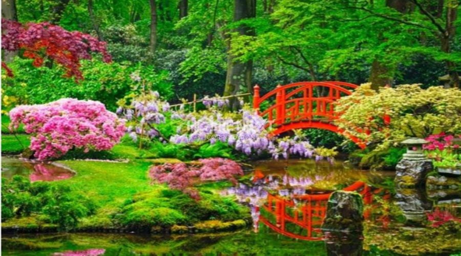 Vườn hoa Haruko (Mùa xuân)
